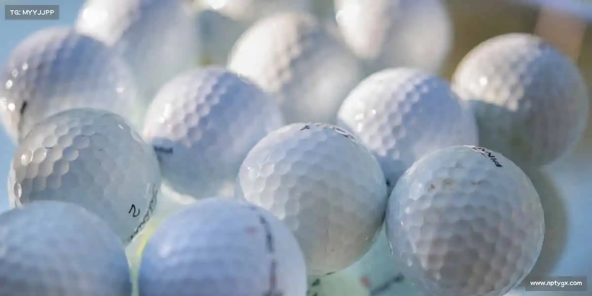 K1体育🧗♂️向上攀登,向下扎根,每一块岩石都是成长的印记 —— 你的巅峰,由你征服!